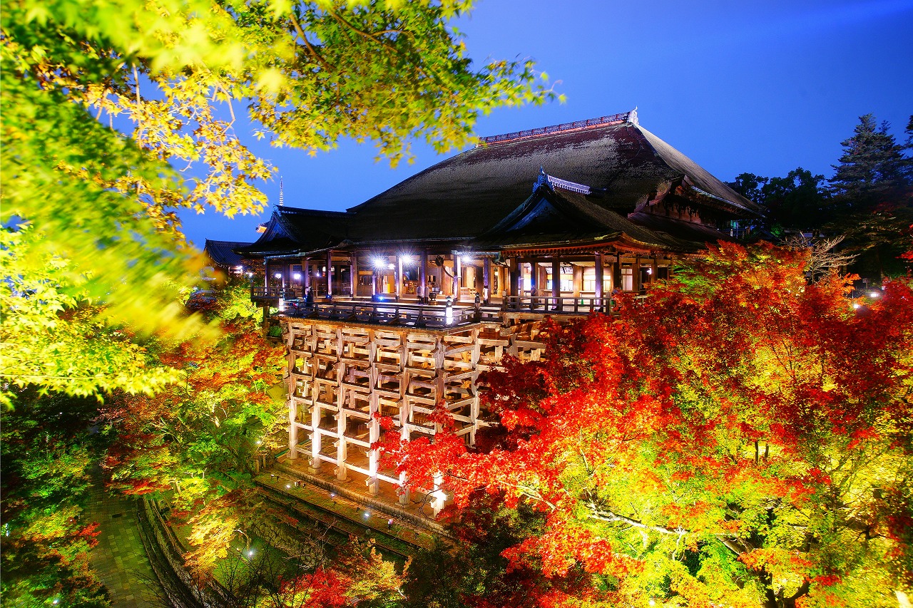 京都・清水寺の紅葉のライトアップ
